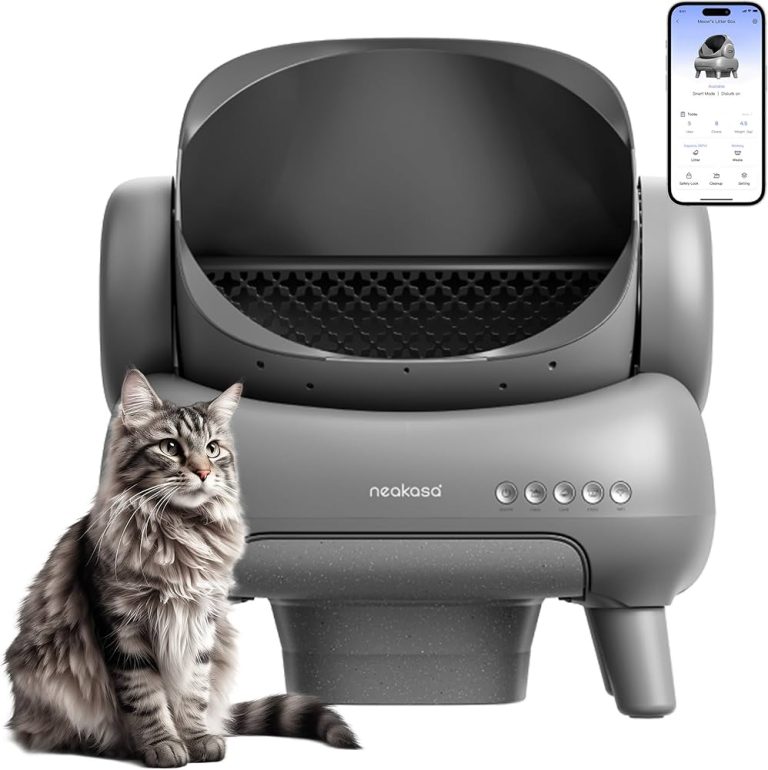 10 Best Auto Litter Boxes: Top Picks for Hassle-Free Cat Care in 2024