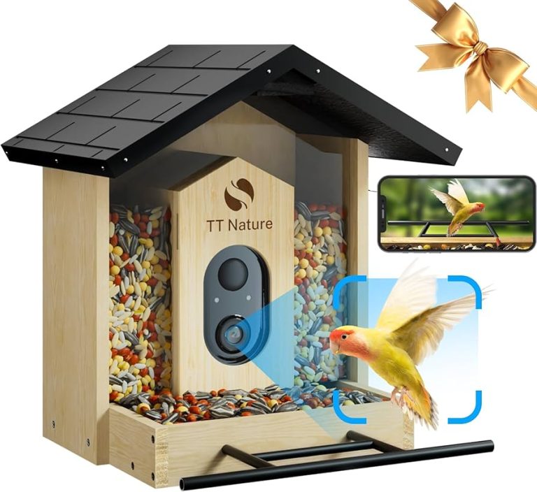 10 Best Bird Feeders with Cameras for 2024: Capture Nature Up Close!