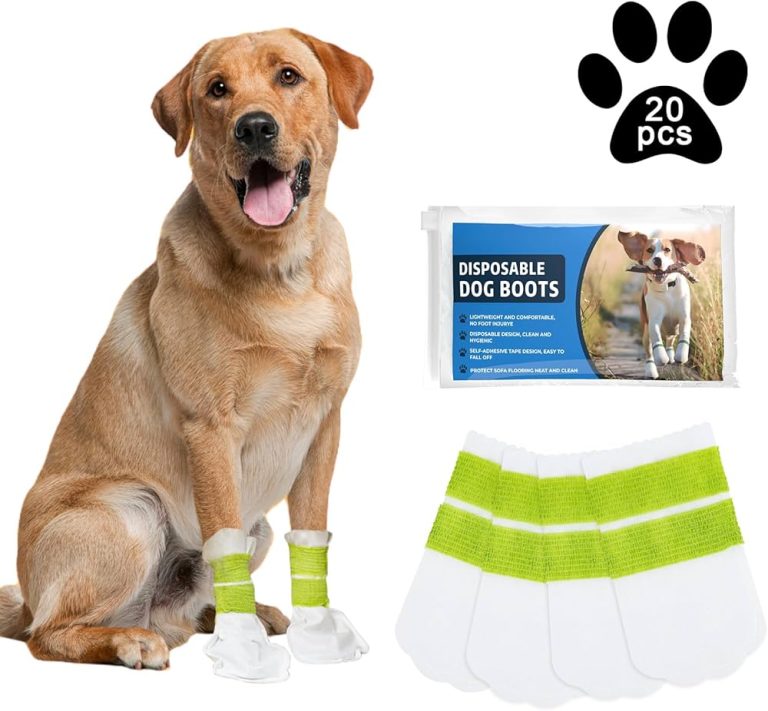 10 Best Dog Booties for 2024: Perfect Paws Protection and Comfort