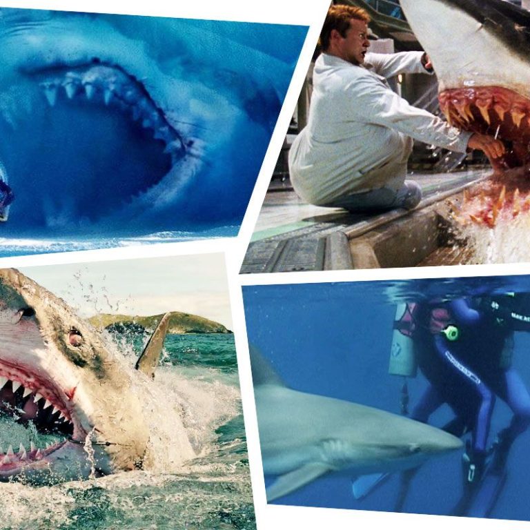 10 Best Shark Movies to Watch in 2024: Top Picks for Thrilling Fun