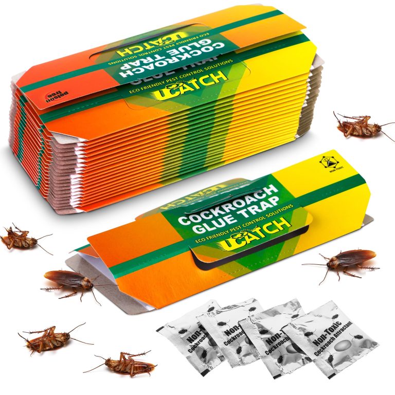 10 Best Cockroach Traps for 2024: Effective Solutions for Pest Control