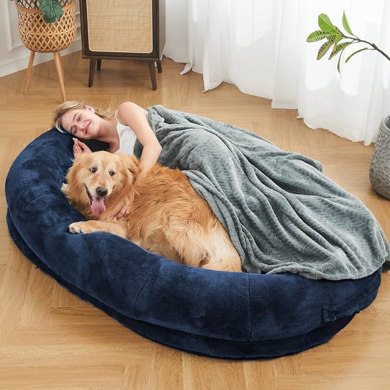 10 Best Flufelbed Cloud Beds for Humans in 2024: Ultimate Comfort Guide