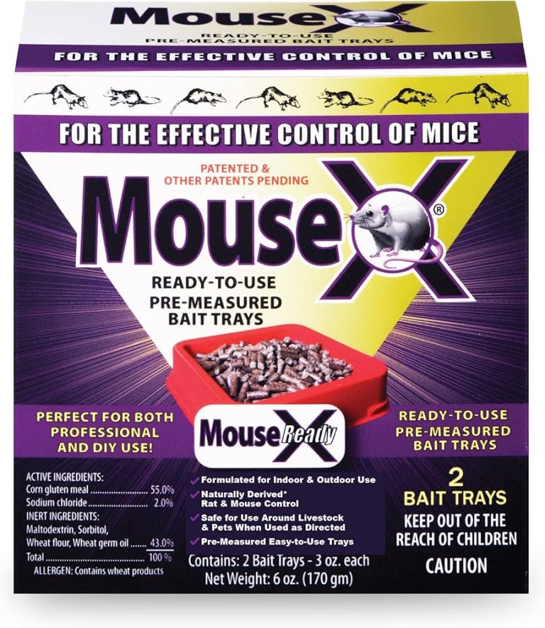 10 Best Mouse Killers: Top Products for Effective Control in 2024