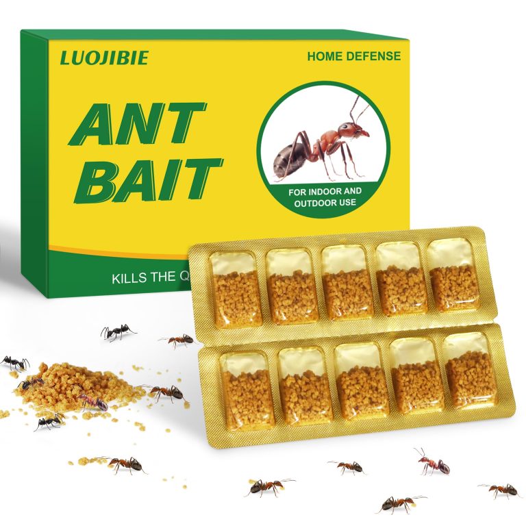 10 Best Ant Killer Indoor Products for Effective Pest Control in 2024