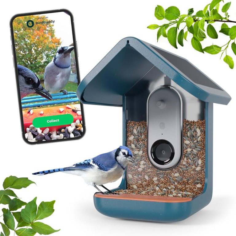 10 Best Bird Feeder Cameras for 2024: Capture Nature’s Beauty!