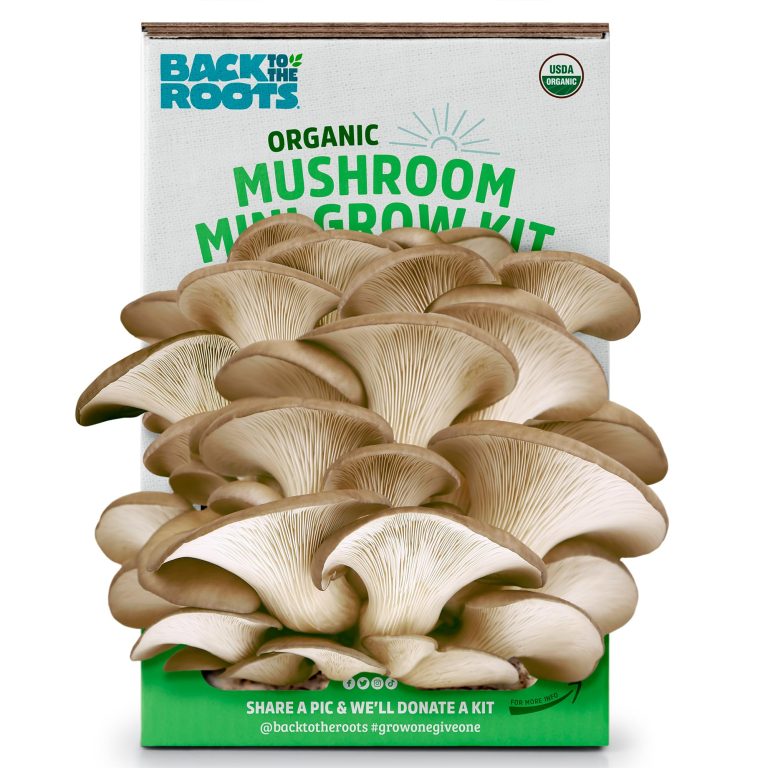 Best Mushroom Grow Kit: Top Products for 2024 to Cultivate Your Fungi