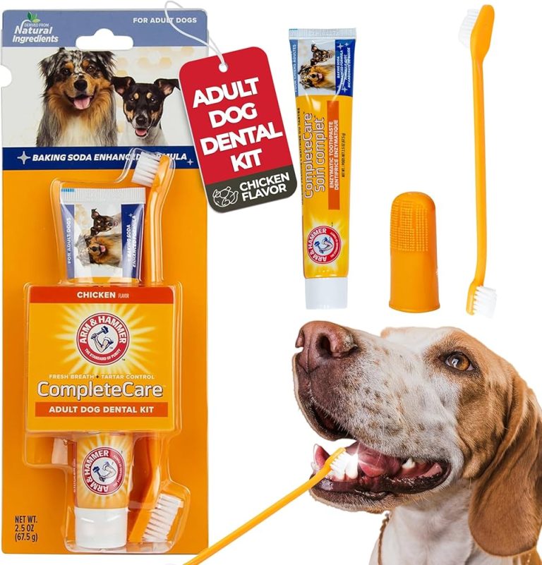 Best Toothbrush for Dogs: Top Picks for 2024 to Keep Your Pet’s Smile Bright