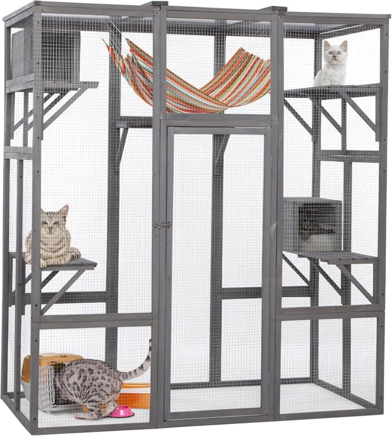 Best Catio: The Ultimate Outdoor Cat Enclosure Guide for 2024