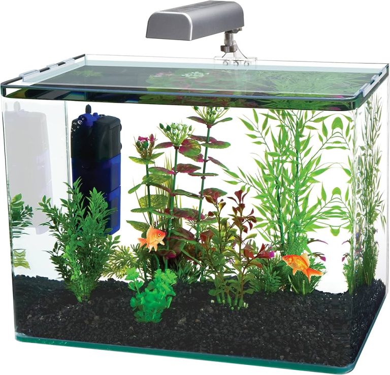 10 Best Fish Tanks of 2024: Top Picks for Your Aquatic Paradise