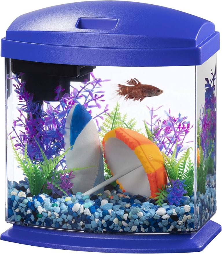 10 Best Small Fish Tanks for 2024: Top Picks for Aquatic Bliss