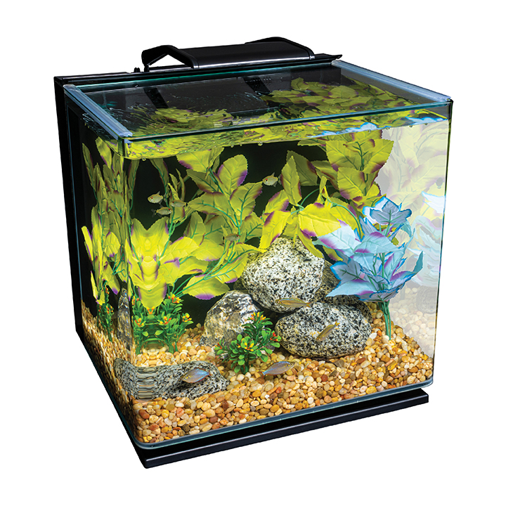 10 Best 2 Gallon Aquarium Kits with Accessories for Sale in 2024