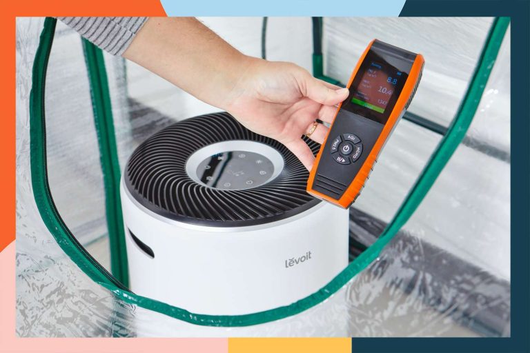 Best Ozone Machine: Top Picks for 2024’s Most Effective Products