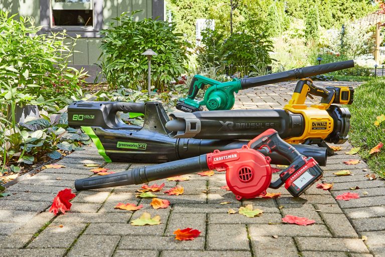 Best Leaf Vacuum: Top Picks for 2024 to Keep Your Yard Clean and Tidy