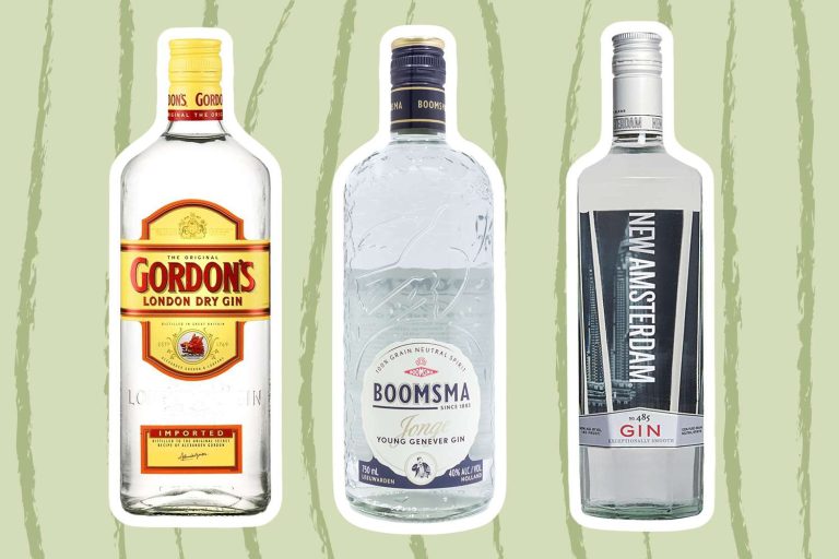 10 Best Budget Gins of 2024: Top Picks for Affordable Quality