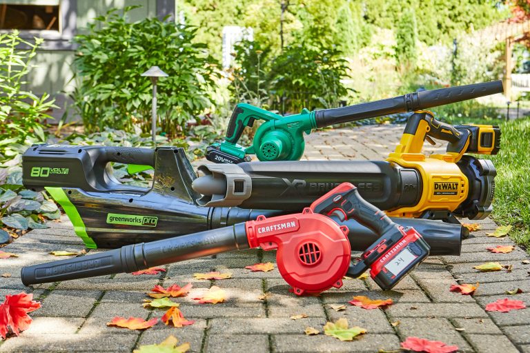 10 Best Battery Powered Blowers of 2024: Top Picks for Efficiency