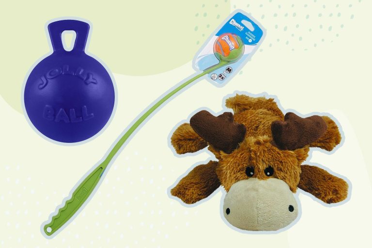 Best Teething Toys for Dogs: Top Picks for 2024’s Best Products!