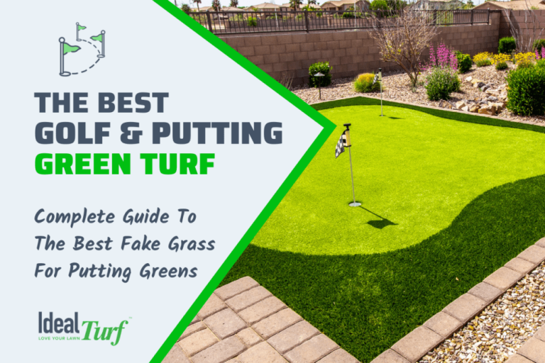 10 Best Artificial Grass Products for 2024: Top Picks for Your Lawn