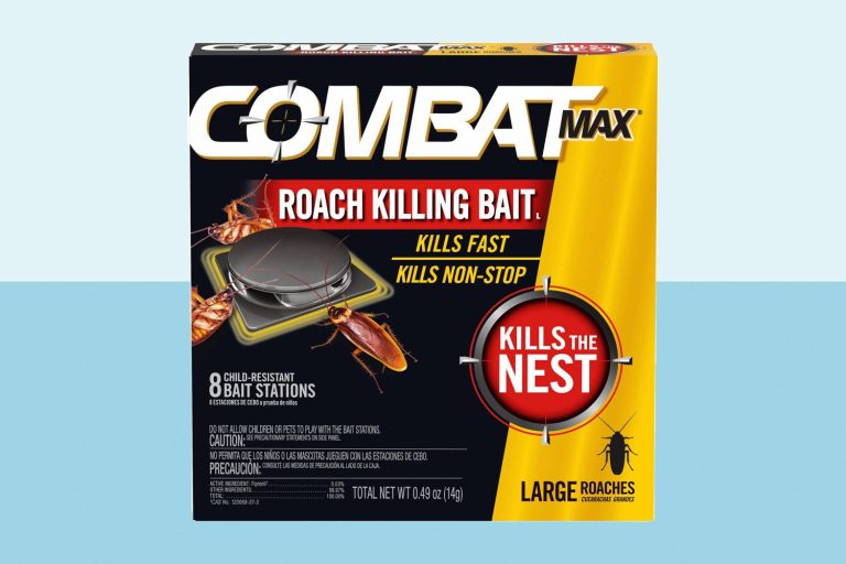 10 Best Roach Traps for Maximum Effectiveness in 2024