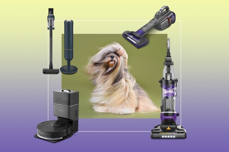 10 Best Vacuums for Dog Hair in 2024: Top Picks for Pet Owners