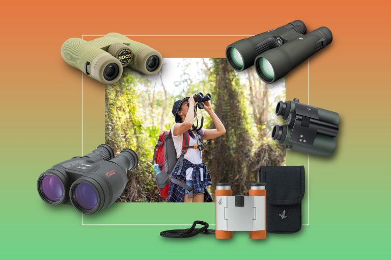 10 Best Binoculars for Bird Watching in 2024: Top Picks for Enthusiasts