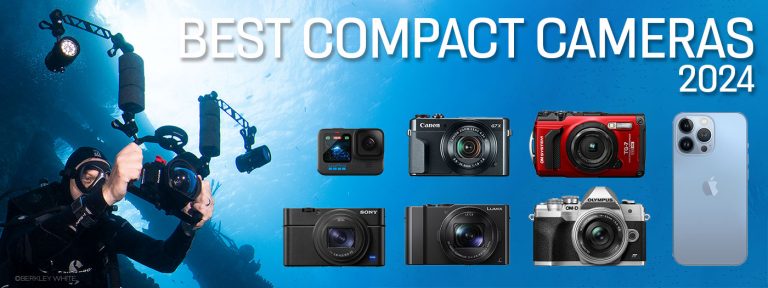 Best Sony Digital Camera: Top Picks for 2024’s Best Photography Gear