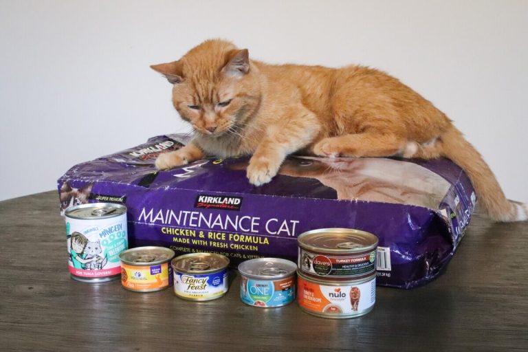 Best Inexpensive Cat Food of 2024: Affordable Options for Happy Pets