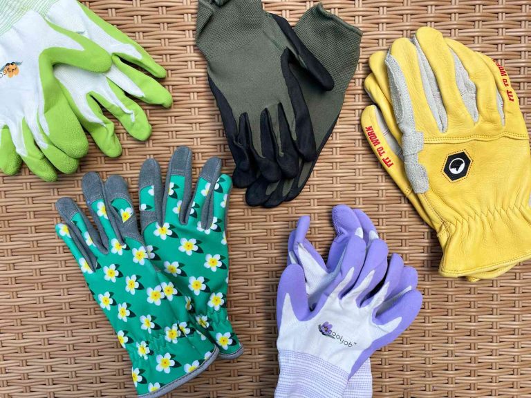 10 Best Nitrile Gloves for 2024: Top Picks for Quality and Durability