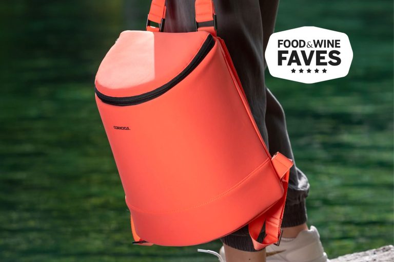 10 Best Cooler Bags of 2024: Top Picks for Your Outdoor Adventures