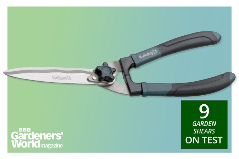 10 Best Pruning Shears of 2024: Top Picks for Perfect Gardening