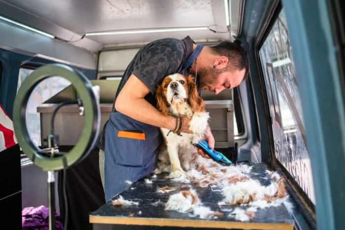 Best Mobile Pet Groomer Near Me: Top Services to Consider in 2024