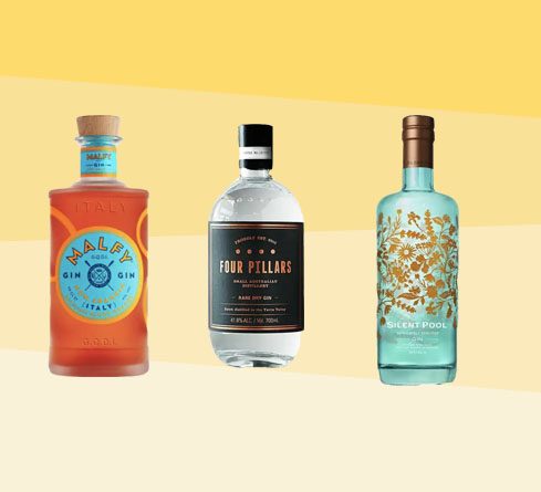 10 Best Gin Brands to Try in 2024: Top Picks for Gin Lovers