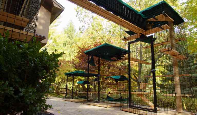 Best Outdoor Cat House: Top Choices for 2024 Your Feline Friend Will Love!