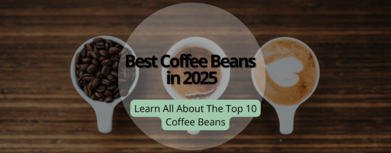 10 Best Coffee Mugs of 2024: Top Picks for Every Coffee Lover