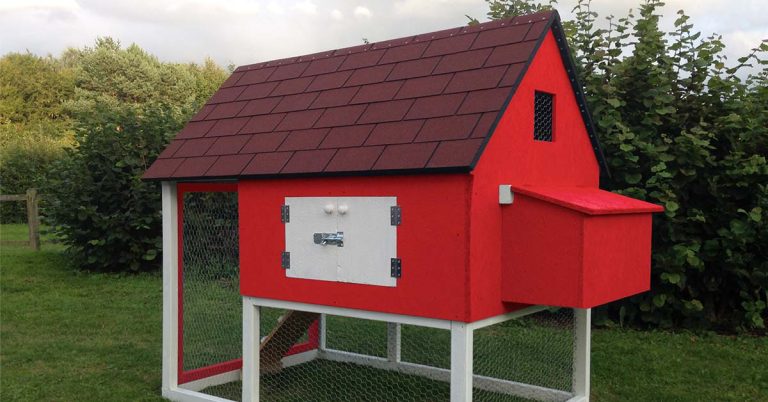 10 Best Chicken Coop Products for 2024: Your Ultimate Guide