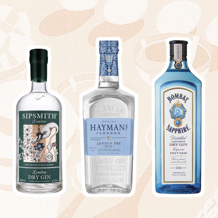 10 Best Gins to Try in 2024: Discover the Finest Gin Products