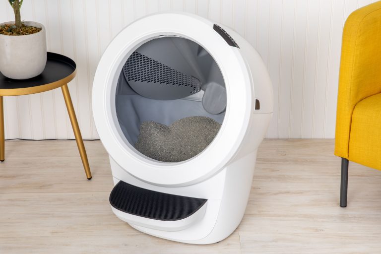 10 Best Automatic Cat Litter Boxes for Easy Cleaning in 2024