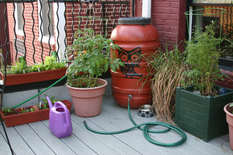 Watering Can to Use with a Rain Barrel: Essential Buying Guide for Gardeners