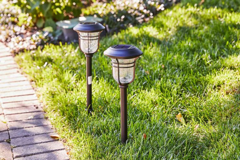 Best Solar Powered Landscape Lights: Top Picks for 2024