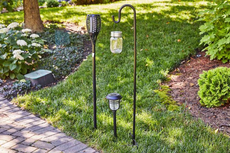 Best Outdoor Solar Lights: Top Picks for 2024 for Your Outdoor Space