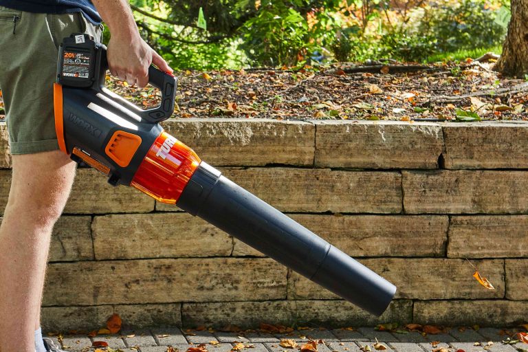 10 Best Battery Operated Leaf Blowers of 2024: Top Picks for Efficiency