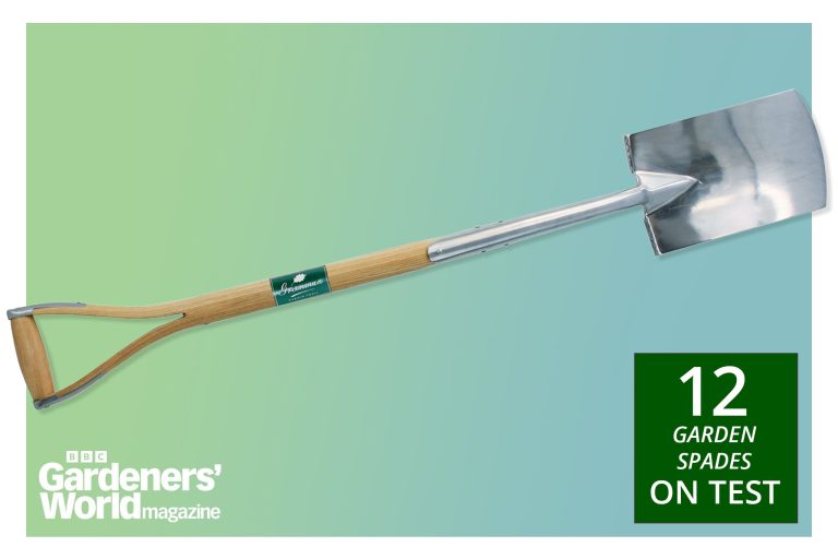 10 Best Gardening Tools for 2024: Top Picks for Every Gardener