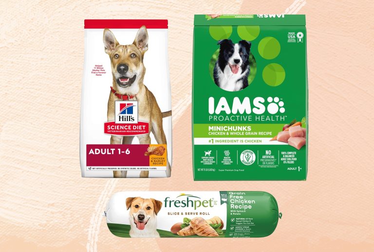 Best Large Breed Dog Foods: Top Picks for 2024 You Can’t Miss!