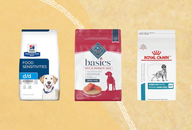 10 Best and Cheapest Dog Food Options for 2024: Top Picks Revealed!