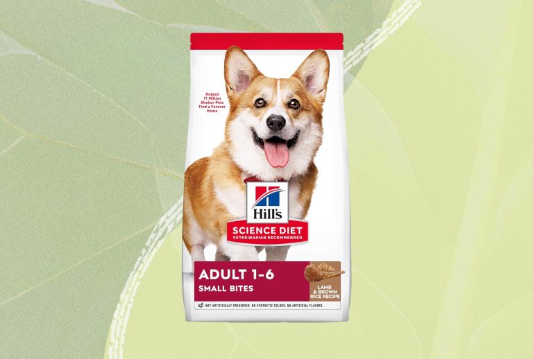 Best Dog Food for Small Dogs: Top Picks for 2024’s Healthiest Options