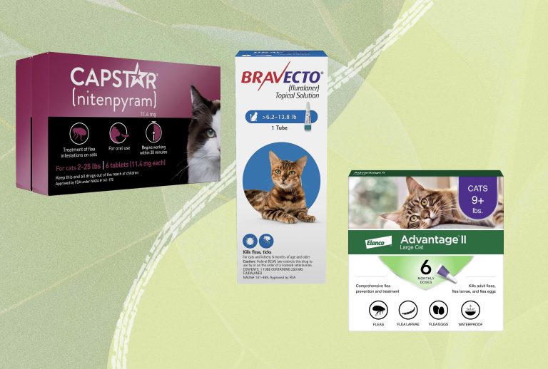 10 Best Flea Medicine for Cats Without Vet Prescription in 2024