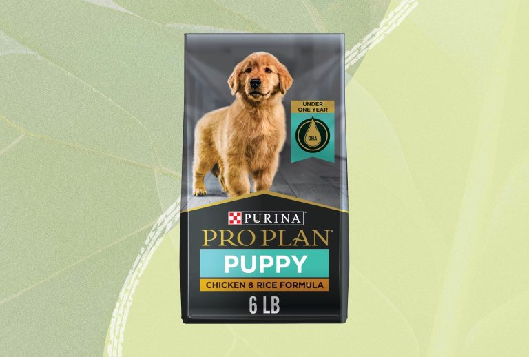 10 Best Affordable Dog Food Options for 2024: Top Picks for Your Pup