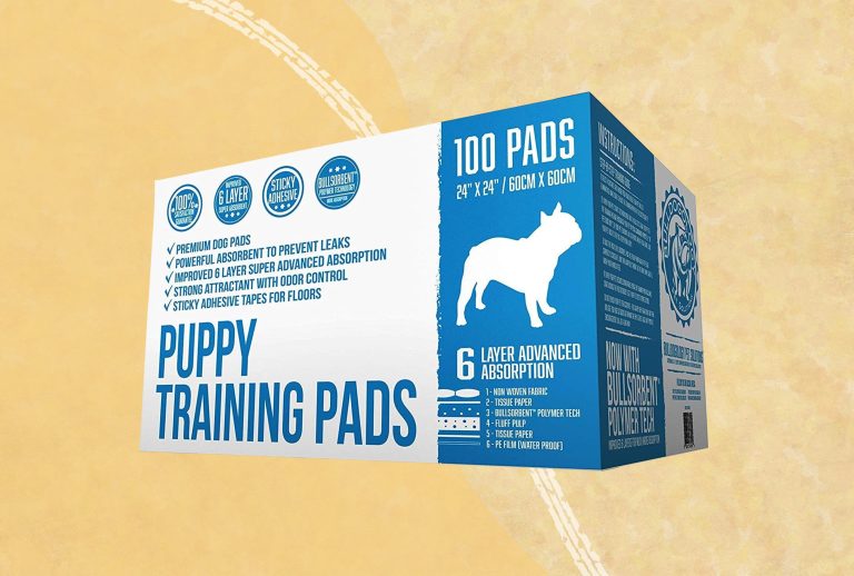 10 Best Puppy Pads for 2024: Top Picks for Easy Cleanup and Training