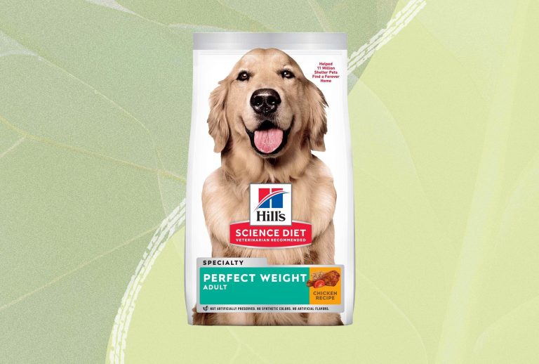 10 Best Dog Food for Older Dogs in 2024: Top Picks for Senior Nutrition