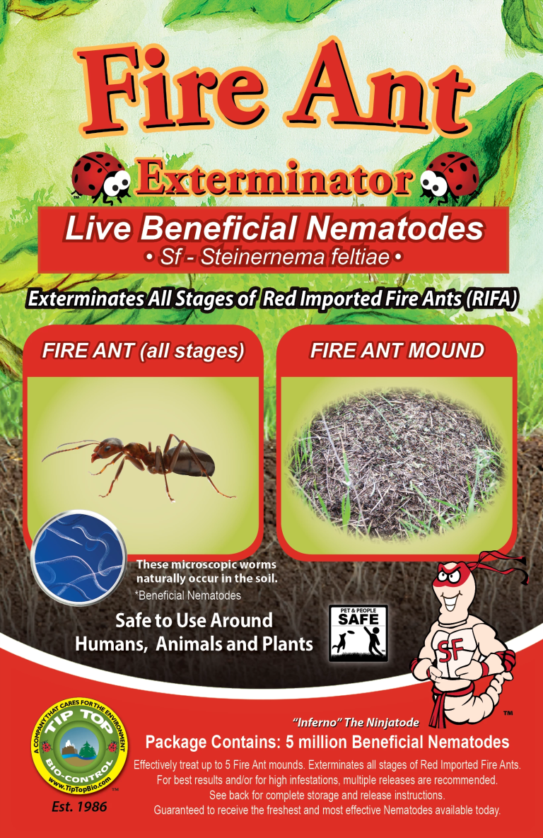 10 Best Ant Traps for 2024: Top Products to Eliminate Ants Effectively