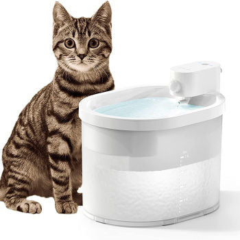 Cat Fountain Water Buying Guide: Choose the Best for Your Feline Friend